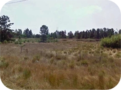 Terreno R�stico T0 - Queiriga, Vila Nova de Paiva, Viseu