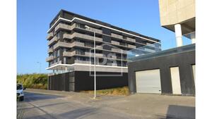 Apartamento T4 - Glria, Aveiro, Aveiro - Miniatura: 17/24