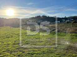 Terreno R�stico T0 - Couto de Baixo, Viseu, Viseu - Miniatura: 7/13