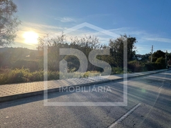 Terreno R�stico T0 - Couto de Baixo, Viseu, Viseu - Miniatura: 8/13