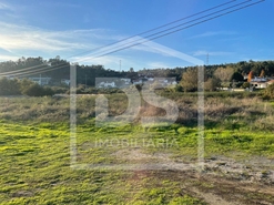 Terreno R�stico T0 - Couto de Baixo, Viseu, Viseu - Miniatura: 11/13