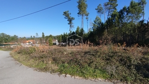 Terreno Rústico T0 - Ribafeita, Viseu, Viseu - Miniatura: 11/21