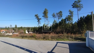 Terreno Rústico T0 - Ribafeita, Viseu, Viseu - Miniatura: 12/21