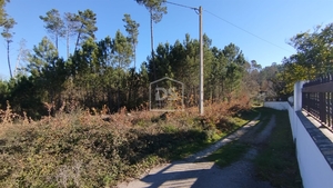 Terreno Rústico T0 - Ribafeita, Viseu, Viseu - Miniatura: 13/21