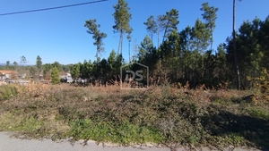 Terreno Rústico T0 - Ribafeita, Viseu, Viseu - Miniatura: 14/21