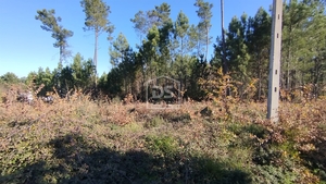 Terreno Rústico T0 - Ribafeita, Viseu, Viseu - Miniatura: 15/21