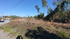 Terreno Rústico T0 - Ribafeita, Viseu, Viseu - Miniatura: 16/21