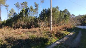 Terreno Rústico T0 - Ribafeita, Viseu, Viseu - Miniatura: 17/21