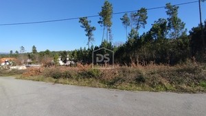 Terreno Rústico T0 - Ribafeita, Viseu, Viseu - Miniatura: 18/21