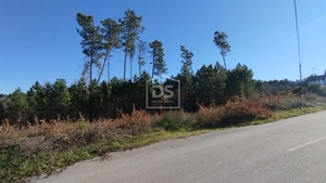 Terreno Rústico T0 - Ribafeita, Viseu, Viseu - Miniatura: 19/21