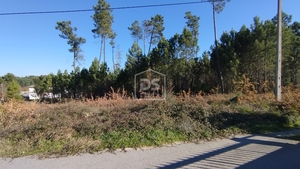 Terreno Rústico T0 - Ribafeita, Viseu, Viseu - Miniatura: 20/21