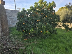 Moradia T0 - Silgueiros, Viseu, Viseu - Miniatura: 15/24