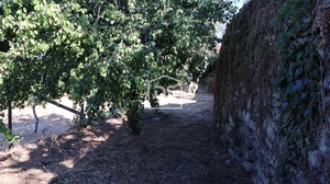 Quinta T2 - Sarzedo, Moimenta da Beira, Viseu - Miniatura: 18/24