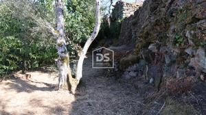 Quinta T2 - Sarzedo, Moimenta da Beira, Viseu - Miniatura: 24/24