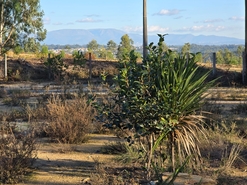 Quinta T1 - Santa Comba Do, Santa Comba Do, Viseu - Miniatura: 1/24