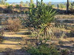 Quinta T1 - Santa Comba Do, Santa Comba Do, Viseu - Miniatura: 2/24