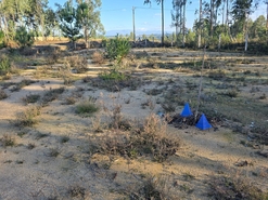 Quinta T1 - Santa Comba Do, Santa Comba Do, Viseu - Miniatura: 3/24