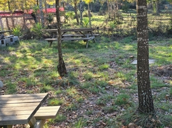 Quinta T1 - Santa Comba Do, Santa Comba Do, Viseu - Miniatura: 11/24