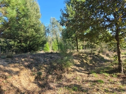 Quinta T1 - Santa Comba Do, Santa Comba Do, Viseu - Miniatura: 15/24