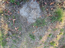 Quinta T1 - Santa Comba Do, Santa Comba Do, Viseu - Miniatura: 17/24