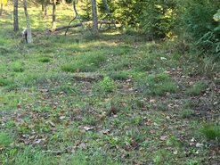 Quinta T1 - Santa Comba Do, Santa Comba Do, Viseu - Miniatura: 21/24