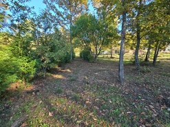 Quinta T1 - Santa Comba Do, Santa Comba Do, Viseu - Miniatura: 22/24