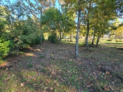 Quinta T1 - Santa Comba Do, Santa Comba Do, Viseu - Miniatura: 23/24