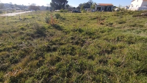 Terreno Urbano T0 - Currelos, Carregal do Sal, Viseu - Miniatura: 6/13