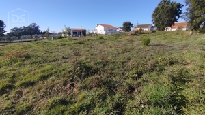 Terreno Urbano T0 - Currelos, Carregal do Sal, Viseu - Miniatura: 8/13
