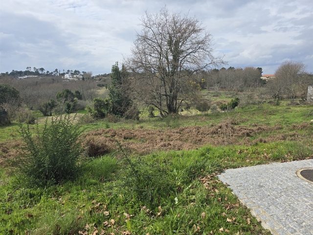 Terreno Urbano T0 - Orgens, Viseu, Viseu - Imagem grande