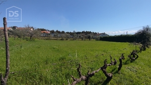 Terreno Urbano T0 - Oliveira do Conde, Carregal do Sal, Viseu