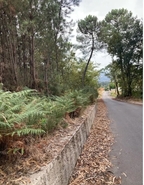 Terreno Urbano T0 - Santa Cruz da Trapa, So Pedro do Sul, Viseu