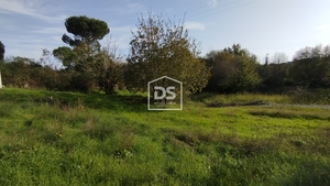 Terreno Rústico T0 - Oliveira do Conde, Carregal do Sal, Viseu - Miniatura: 13/24