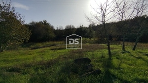 Terreno Rústico T0 - Oliveira do Conde, Carregal do Sal, Viseu - Miniatura: 14/24