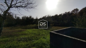 Terreno Rústico T0 - Oliveira do Conde, Carregal do Sal, Viseu - Miniatura: 17/24