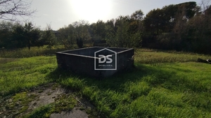 Terreno Rústico T0 - Oliveira do Conde, Carregal do Sal, Viseu - Miniatura: 18/24