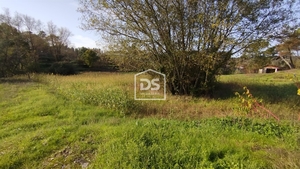 Terreno Rústico T0 - Oliveira do Conde, Carregal do Sal, Viseu - Miniatura: 20/24