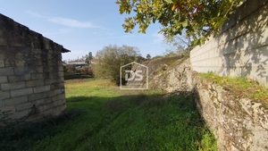 Terreno Rústico T0 - Oliveira do Conde, Carregal do Sal, Viseu - Miniatura: 21/24