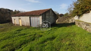 Terreno Rústico T0 - Oliveira do Conde, Carregal do Sal, Viseu - Miniatura: 22/24