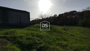 Terreno Rústico T0 - Oliveira do Conde, Carregal do Sal, Viseu - Miniatura: 23/24