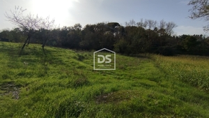 Terreno Rústico T0 - Oliveira do Conde, Carregal do Sal, Viseu - Miniatura: 24/24