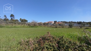 Terreno Urbano T0 - Oliveira do Conde, Carregal do Sal, Viseu - Miniatura: 2/17