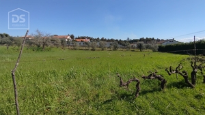 Terreno Urbano T0 - Oliveira do Conde, Carregal do Sal, Viseu - Miniatura: 5/17