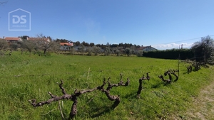 Terreno Urbano T0 - Oliveira do Conde, Carregal do Sal, Viseu - Miniatura: 7/17