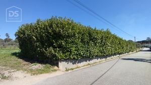 Terreno Urbano T0 - Oliveira do Conde, Carregal do Sal, Viseu - Miniatura: 11/17