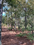 Terreno Urbano T0 - Santa Cruz da Trapa, São Pedro do Sul, Viseu - Miniatura: 1/3