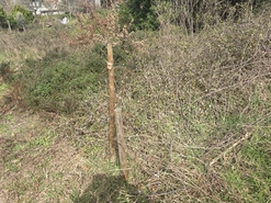 Terreno Urbano T0 - Orgens, Viseu, Viseu - Miniatura: 4/6