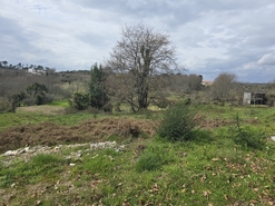 Terreno Urbano T0 - Orgens, Viseu, Viseu - Miniatura: 5/6
