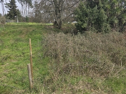 Terreno Urbano T0 - Orgens, Viseu, Viseu - Miniatura: 6/6