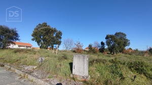 Terreno Urbano T0 - Currelos, Carregal do Sal, Viseu - Miniatura: 7/13
